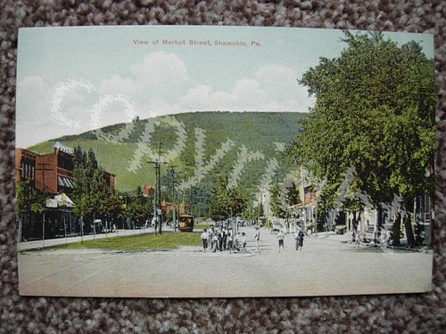 Shamokin view market - shamokin,