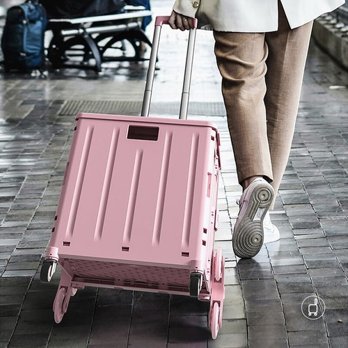 Shopping trolley foldable - trolley,